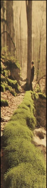 Free aesthetic bookmark featuring hiking in the forest